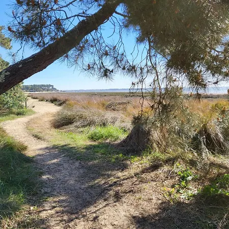 Mobilhome Les Viviers - Cap Ferret